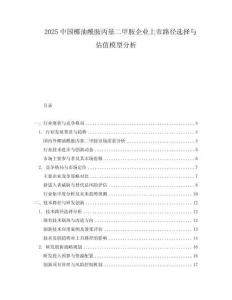 2025中國椰油酰胺丙基二甲胺企業(yè)上市路徑選擇與估值模型分析