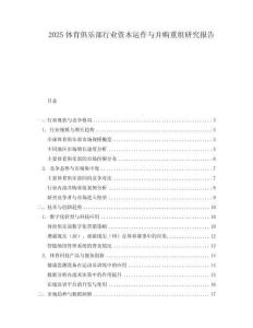 2025體育俱樂部行業(yè)資本運作與并購重組研究報告