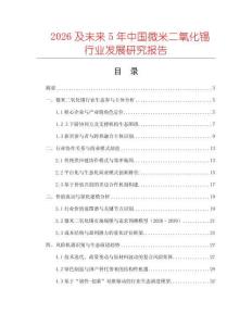 2026及未來5年中國微米二氧化錫行業(yè)發(fā)展研究報告