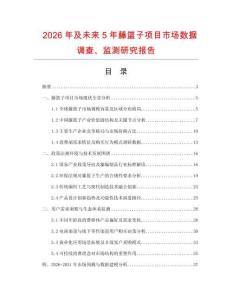 2026年及未來5年藤籃子項目市場數據調查、監測研究報告