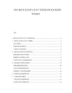 2025城市社會治理與安全產業發展分析及未來趨勢研究報告
