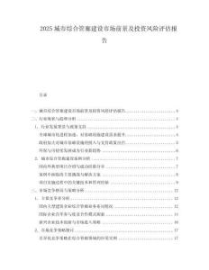 2025城市綜合管廊建設市場前景及投資風險評估報告