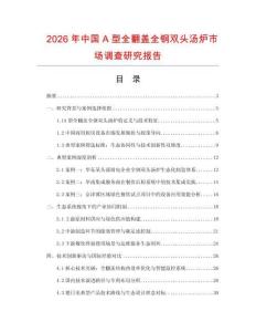 2026年中國A型全翻蓋全鋼雙頭湯爐市場調查研究報告