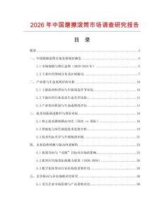 2026年中國磨擦滾筒市場調查研究報告