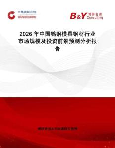 2026年中國鎢鋼模具鋼材行業市場規模及投資前景預測分析報告