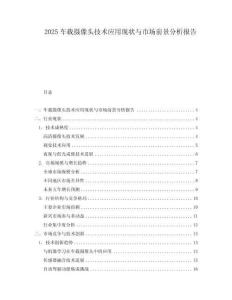 2025車(chē)載攝像頭技術(shù)應(yīng)用現(xiàn)狀與市場(chǎng)前景分析報(bào)告