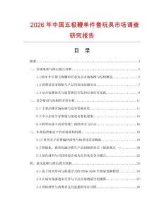 2026年中国五极鞭单件套玩具市场调查研究报告