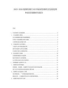 2025-2030視頻傳媒行業(yè)市場深度調(diào)研及發(fā)展趨勢和前景預(yù)測研究報告