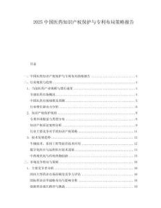 2025中國醫(yī)藥知識產(chǎn)權(quán)保護與專利布局策略報告