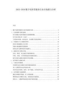 2025-2030數(shù)字化轉(zhuǎn)型服務(wù)行業(yè)市場(chǎng)潛力分析