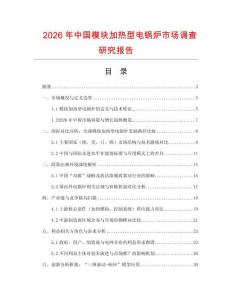2026年中國(guó)模塊加熱型電鍋爐市場(chǎng)調(diào)查研究報(bào)告
