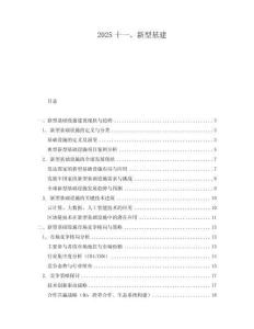 2025十一、新型基建