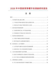 2026年中國麥草草帽市場調查研究報告