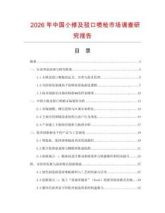 2026年中國小修及駁口噴槍市場調查研究報告