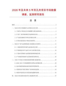 2026年及未來5年雙孔夾項目市場數據調查、監測研究報告