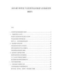 2025碳中和背景下光伏組件技術(shù)演進(jìn)與市場前景預(yù)測報告