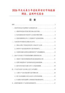 2026年及未來(lái)5年柔軟革項(xiàng)目市場(chǎng)數(shù)據(jù)調(diào)查、監(jiān)測(cè)研究報(bào)告