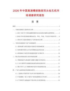 2026年中國高速精密數(shù)控雙頭鉆孔機(jī)市場調(diào)查研究報(bào)告