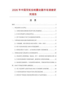 2026年中國雙輪拉線震動器市場調查研究報告