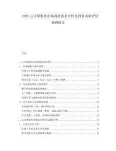 2025云計算服務市場現狀需求分析及投資風險評估預測報告