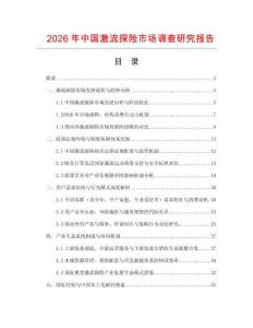 2026年中國激流探險市場調查研究報告