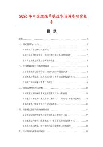 2026年中國(guó)燃煤?jiǎn)窝墼钍袌?chǎng)調(diào)查研究報(bào)告