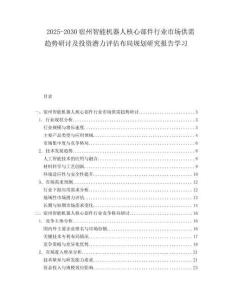 2025-2030宿州智能機器人核心部件行業市場供需趨勢研討及投資潛力評估布局規劃研究報告學習