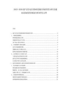 2025-2030索馬里電信基礎(chǔ)設(shè)施市場(chǎng)供需分析及通訊設(shè)備投資規(guī)劃分析研究文件