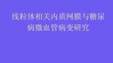 線粒體相關(guān)內(nèi)質(zhì)網(wǎng)膜與糖尿病微血管病變研究2026