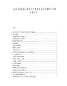 2025-2030索馬里電信產(chǎn)業(yè)數(shù)字化轉(zhuǎn)型策略與市場競爭分析