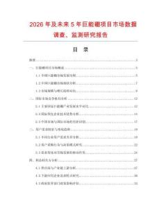 2026年及未來5年巨能硼項(xiàng)目市場數(shù)據(jù)調(diào)查、監(jiān)測研究報(bào)告