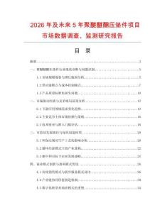 2026年及未來5年聚醚醚酮壓墊件項目市場數據調查、監測研究報告