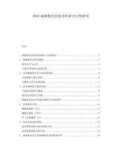 2025碳捕集封存技術(shù)經(jīng)濟(jì)可行性研究