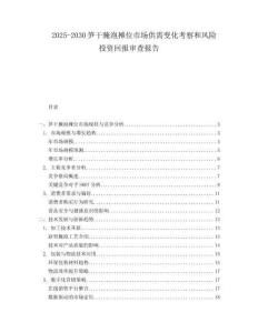 2025-2030筍干腌泡攤位市場供需變化考察和風險投資回報審查報告