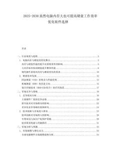 2025-2030雖然電腦內存大也可提高硬盤工作效率優化軟件選擇