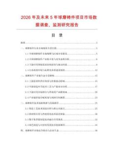 2026年及未來5年球磨鑄件項(xiàng)目市場數(shù)據(jù)調(diào)查、監(jiān)測研究報(bào)告