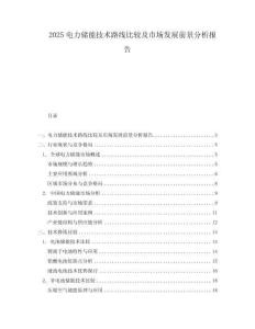 2025電力儲能技術(shù)路線比較及市場發(fā)展前景分析報告