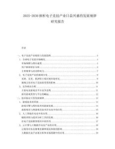 2025-2030探析電子競技產(chǎn)業(yè)日益興盛的發(fā)展規(guī)律研究報告
