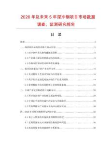 2026年及未來5年深沖鋼項目市場數據調查、監測研究報告