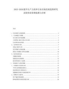 2025-2030提升生產力效率行業市場發展趨勢研究及投資前景增值潛力分析