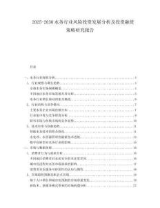 2025-2030水務行業風險投資發展分析及投資融資策略研究報告