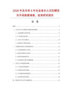 2026年及未來5年合金音樂火石陀螺項目市場數據調查、監測研究報告
