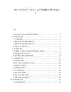 2025-2030水利工程項目運行維護(hù)技術(shù)分析規(guī)劃報告