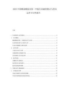 2025中國椰油酰胺丙基二甲胺行業(yè)融資模式與資本運作可行性報告