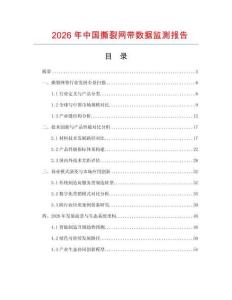 2026年中國(guó)撕裂網(wǎng)帶數(shù)據(jù)監(jiān)測(cè)報(bào)告