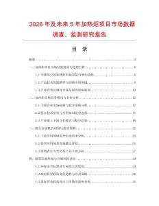 2026年及未來5年加熱炬項目市場數據調查、監測研究報告