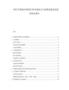 2025車路協(xié)同系統(tǒng)行業(yè)市場試點(diǎn)與標(biāo)準(zhǔn)化建設(shè)及投資機(jī)會報告