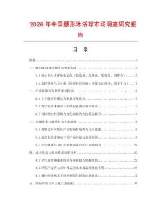 2026年中國腰形沐浴球市場調查研究報告