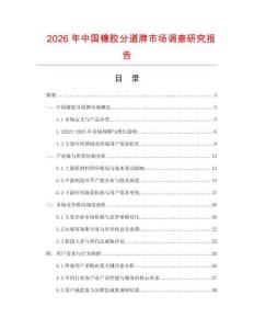 2026年中國橡膠分道牌市場調(diào)查研究報告