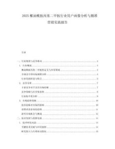 2025椰油酰胺丙基二甲胺行業用戶畫像分析與精準營銷實踐報告